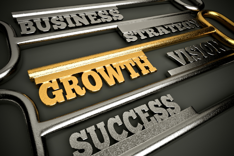 A Small Business Growth Strategy for Sacramento Business Owners